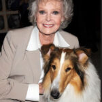 A murit June Lockhart, cunoscută pentru rolurile din „Lassie” și „Lost in Space”. Actrița avea 100 de ani. 9 a murit june lockhart celebra pentru rolurile din lassie si lost in space actrita avea 100 de ani 6902f153003e2