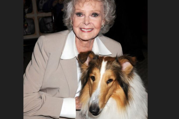 a murit june lockhart celebra pentru rolurile din lassie si lost in space actrita avea 100 de ani 6902f153003e2