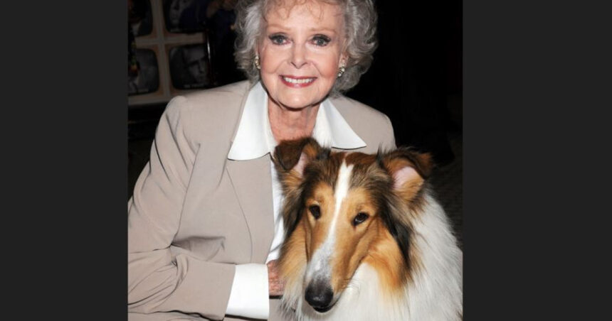A murit June Lockhart, cunoscută pentru rolurile din „Lassie” și „Lost in Space”. Actrița avea 100 de ani. 1 a murit june lockhart celebra pentru rolurile din lassie si lost in space actrita avea 100 de ani 6902f153003e2
