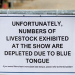 alerta epidemiologica in gorj focar de boala limbii albastre la bovine virusul se extinde in europa anunta expertii veterinari 68dd5349b06db