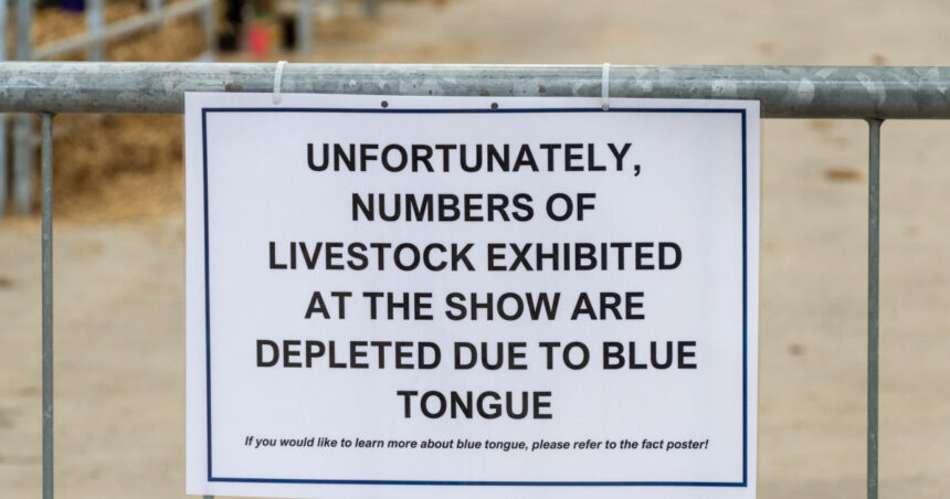 alerta epidemiologica in gorj focar de boala limbii albastre la bovine virusul se extinde in europa anunta expertii veterinari 68dd5349b06db