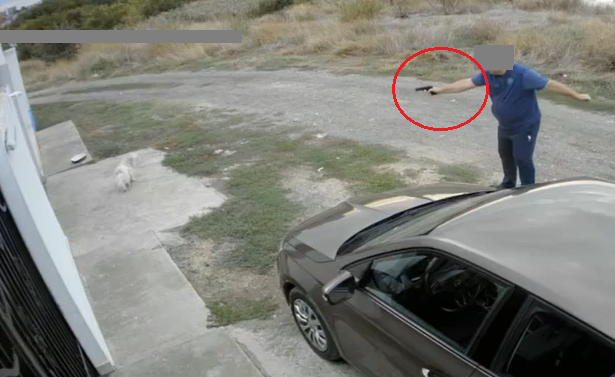 amenda de 7 000 de lei pentru barbatul care a tras cu un pistol cu bile intr un bichon in palazu mare acesta a ramas si fara pistol 68dd04b8900c4