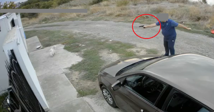 amenda de 7 000 de lei pentru barbatul care a tras cu un pistol cu bile intr un bichon in palazu mare acesta a ramas si fara pistol 68dd04b8900c4