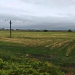ANAF organizează licitația pentru un teren agricol de 45.000 mp în Năvodari 5 anaf scoate la licitatie un teren agricol de 45 000 mp in navodari 6903a8ff06ad2