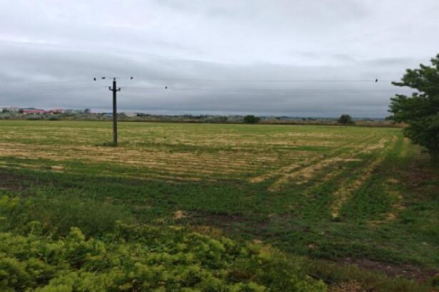 anaf scoate la licitatie un teren agricol de 45 000 mp in navodari 6903a8ff06ad2