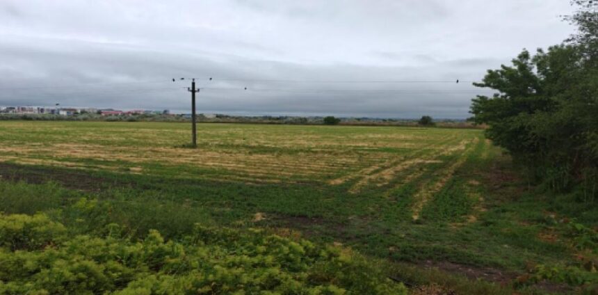 ANAF organizează licitația pentru un teren agricol de 45.000 mp în Năvodari 1 anaf scoate la licitatie un teren agricol de 45 000 mp in navodari 6903a8ff06ad2