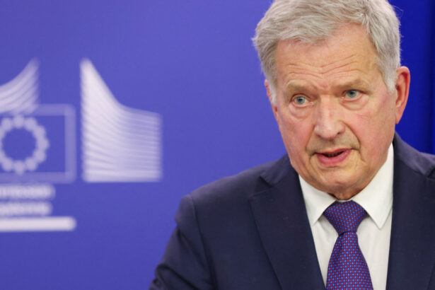 analiza europa ia masuri pentru a crea o agentie comuna de spionaj pe fondul amenintarilor rusesti si al incertitudinii generate de trump 68fc753636bed