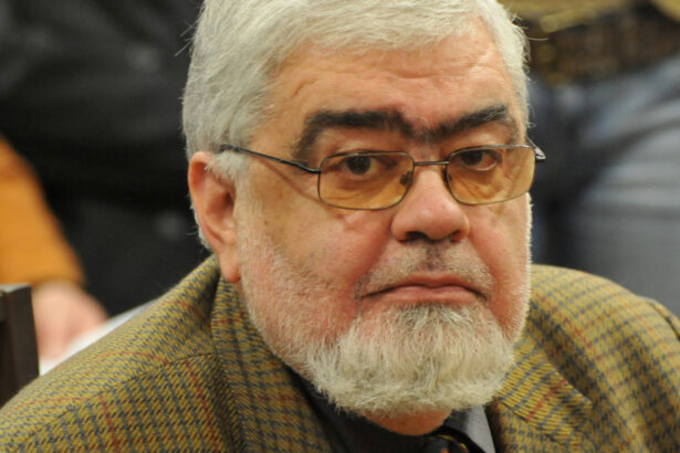 andrei plesu despre ilie bolojan si sorin grindeanu unul e o premiera post decembritsa celalalt lucreaza cu o topaiala tactica 6903c28031f61