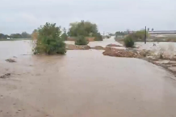 atentie soferi ruta pantelimon runcu saraiu harsova nu mai este practicabila din cauza inundatiilor iata pe unde se poate circula 68e676c5af50d