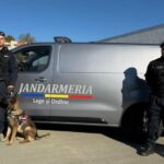 Autospecială nouă pentru transportul câinilor de serviciu achiziționată de Jandarmeria Constanța 11 autospeciala noua pentru transportul cainilor de serviciu primita de jandarmeria constanta 690229bdb7883