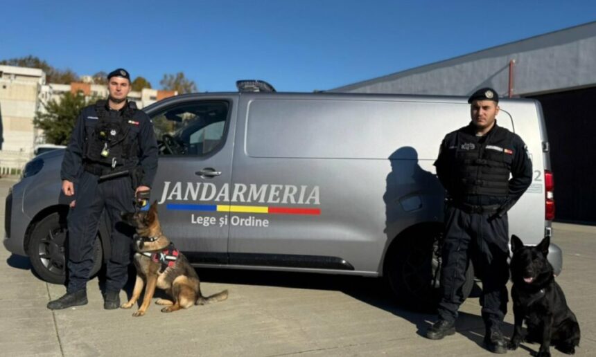 Autospecială nouă pentru transportul câinilor de serviciu achiziționată de Jandarmeria Constanța 1 autospeciala noua pentru transportul cainilor de serviciu primita de jandarmeria constanta 690229bdb7883
