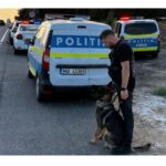 caz incredibil la tulcea solutionat in timp record trei copii au furat o masina si au facut accident 68e293d8ee835