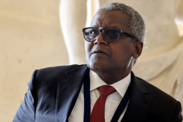 cel mai bogat om din africa vrea sa detina cea mai mare rafinarie din lume 68fe56d986e26