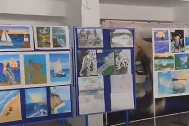 complexul muzeal de stiinte ale naturii constanta si isj marcheaza ziua marii negre prin proiectul cercetas la delfinariu 68f9d751358c2