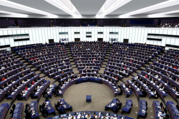 cum ar vota eurodeputatii romani la motiunile de cenzura impotriva ursulei von der leyen 68dd295729802