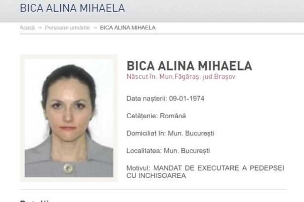 curtea de apel bucuresti a retras mandatul de arestare a fostei sefe diicot alina bica 68e00cf9ba61d