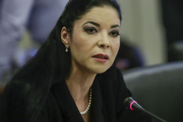 documentul care o acuza pe ana birchall ca ar fi vrut sa colaboreze cu cia a fost retras o tentativa de asasinat politic 68eb28e676f12