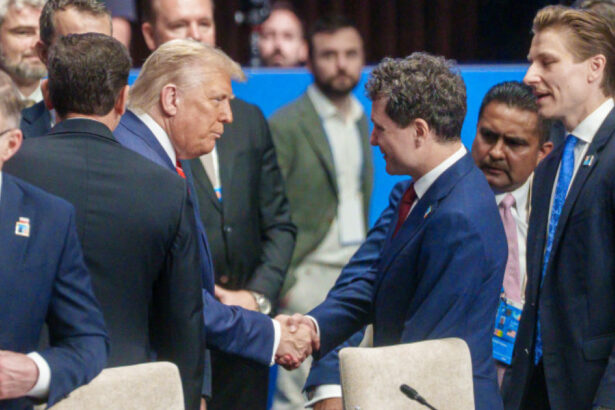 exclusiv cristian diaconescu lucram pentru o intalnire donald trump nicusor dan presedintele doreste o vizita de substanta nu de imagine 68e0f38f05d40