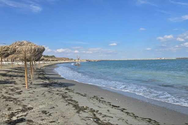 foto dosarul pentru plaja de 8 milioane de euro din constanta care ar urma sa si schimbe proprietarul ajunge la instanta suprema din dobrogea 68fe5878503c1