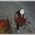 foto furt de flori astazi aproape de tomis mall acuza reprezentantii unei bijuterii din oras fiecare comerciant depune un efort pentru a decora de sezon si a bucura trecatorii 68fbc386810c7