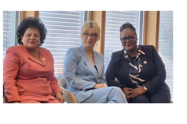 foto mariana gaju primarul comunei cumpana a reprezentat romania la forumul primarilor onu de la geneva 68e4f08962924