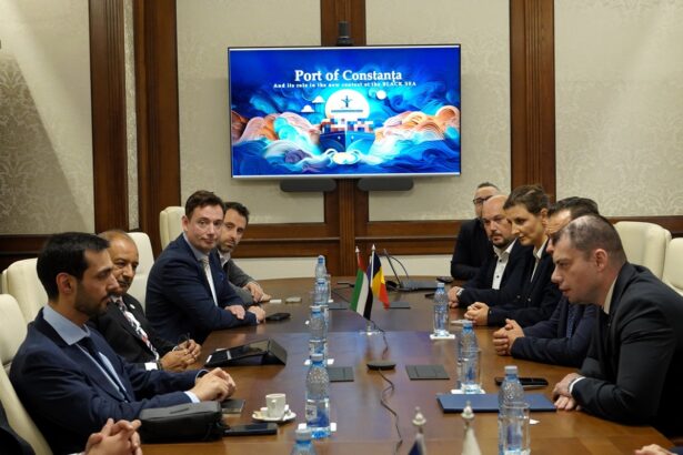 foto posibile investitii in portul constanta ale abu dhabi ports unul dintre cei mai mari operatori portuari din emiratele arabe unite 68f0bff9576d8