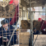 Sufletele din cușcă: Asociația Suflete Deschise aduce în atenție povestea unui bătrân din Bacău care trăiește de 5 ani într-o cușcă de metal, în Piața Griviței. Cum îl pot ajuta constănțenii. 5 foto sufletele din cusca asociatia suflete deschise scoate la lumina povestea unui batran din bacau care traieste de 5 ani intr o cusca de metal in piata grivitei cum il pot ajuta constantenii 68ff91558cfdf