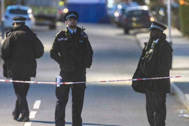 foto un barbat care isi plimba catelul a fost ucis intr un atac cu un cutit in vestul londrei un suspect a fost arestat 6901d3d21f5f4