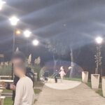 foto vandalism in parcul poarta 6 din constanta plante decorative rupte si furate la scurt timp dupa plantare 68efa034160b1