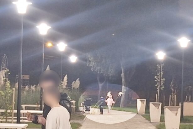 foto vandalism in parcul poarta 6 din constanta plante decorative rupte si furate la scurt timp dupa plantare 68efa034160b1