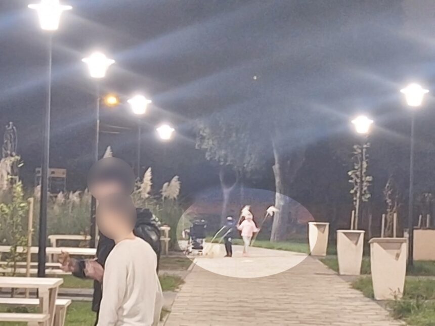 foto vandalism in parcul poarta 6 din constanta plante decorative rupte si furate la scurt timp dupa plantare 68efa034160b1
