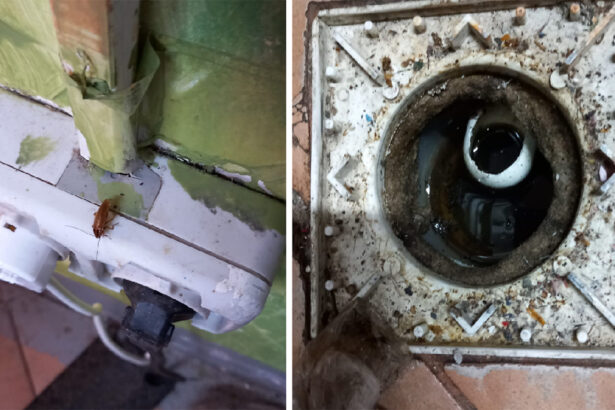 foto video alimentara din piata tomis 3 inchisa temporar de protectia consumatorilor neregulile gasite de inspectori 6900e2f3a40fd