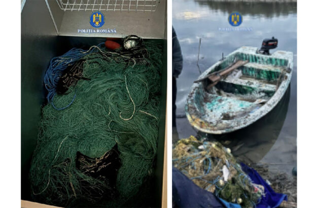 foto video mascatii au intrat in forta peste braconierii din harsova cinci persoane sunt cercetate de procurori 68f5d13eb20c1