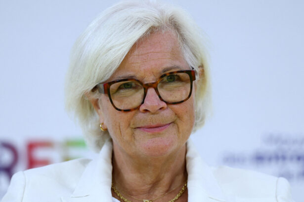 franta nu isi retrage trupele din romania catherine vautrin confirma mentinerea efectivelor nato 690376529a57c