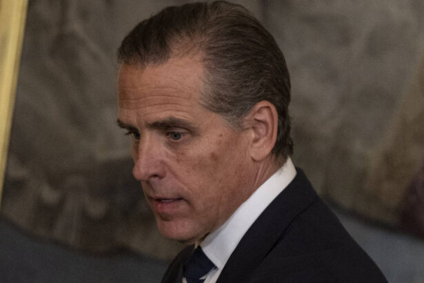 hunter biden implicat intr o tranzactie pentru vanzarea terenului din jurul ambasadei sua in romania 68e6245127ffd