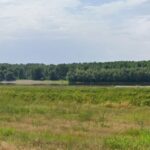 investitorii interesati pot inchiria un teren portuar in harsova afla cand are loc licitatia si cine este organizatorul 68dd6d821f4f2