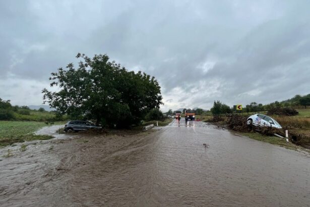 judetul tulcea circulatie restrictionata pe dn 222a intre nifon si hamcearca din cauza unei viituri 68e6c41ce8c95