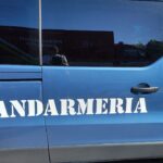 la vederea jandarmilor un barbat din medgidia a aruncat in iarba stupefiantele pe care le avea asupra lui 68f117de11d7b