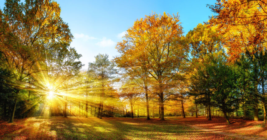 meteorologii anunta vreme mai calda si ploi mai putine in noiembrie estimarile pentru urmatoarele patru saptamani 690070c856d51