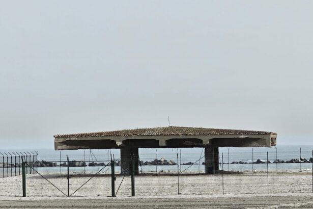 ministerul culturii inca la primul pas pentru salvarea pasarelei regale din mamaia 68fbef9fa9c1e