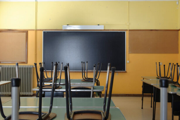 news alert toate scolile din bucuresti vor fi inchise miercuri stelian bujduveanu trebuie sa fim prudenti si sa nu blocam orasul 68e5192145a3d