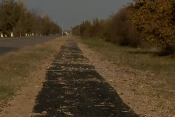 pista pentru biciclete turnata peste iarba lucrarile de mantuiala au starnit nemultumirea localnicilor asta intr un an se duce 68f7d47d02c90