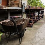 platforma comunala pentru gestionarea gunoiului de grajd in albesti proiect de peste 34 milioane de lei finantat prin pnrr 68dfbfa2cd6ce