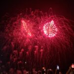 primaria constanta renunta la artificiile din noaptea revelion pentru protejarea animalelor 6901e6c01e904