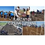 Primăria Cumpăna, în colaborare cu Asociația Creștem România Împreună, se implică pentru un viitor verde 5 primaria cumpana in parteneriat cu asociatia crestem romania impreuna se mobilizeaza pentru un viitor verde 6900ca385ab9c
