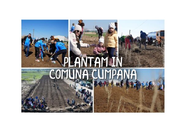 primaria cumpana in parteneriat cu asociatia crestem romania impreuna se mobilizeaza pentru un viitor verde 6900ca385ab9c