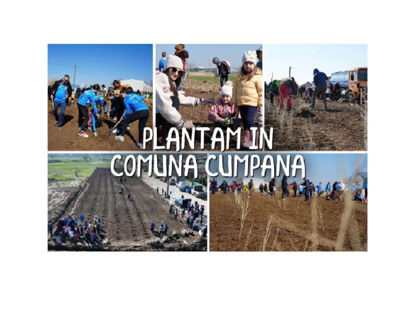 Primăria Cumpăna, în colaborare cu Asociația Creștem România Împreună, se implică pentru un viitor verde 1 primaria cumpana in parteneriat cu asociatia crestem romania impreuna se mobilizeaza pentru un viitor verde 6900ca385ab9c