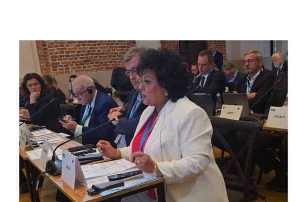 primarul comunei cumpana mariana gaju a reprezentat romania la comisia europeana pentru mediu si energie 68deb7f5b0195