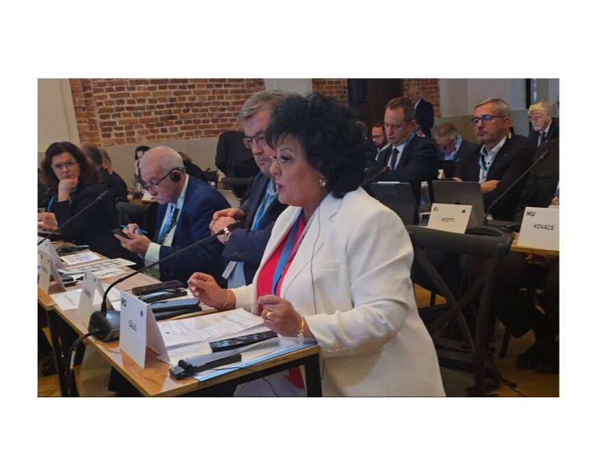 primarul comunei cumpana mariana gaju a reprezentat romania la comisia europeana pentru mediu si energie 68deb7f5b0195