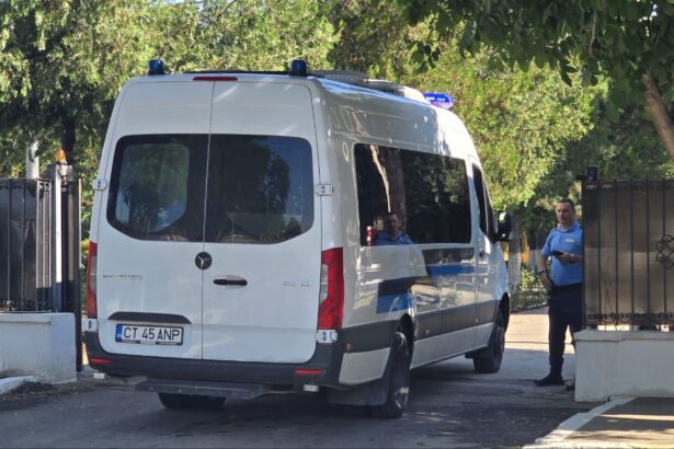 prinsa si dusa la penitenciarul poarta alba o femeie din medgidia a fost condamnata pentru infractiuni informatice 68fa139e1ccf2